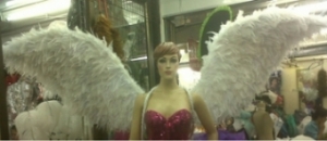 B009 Feather Angel Wings