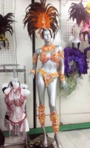 T0262 Carnival Brazilian Rio Carnival Samba Dance Costume  Carnival Rio Costume Bikini Set