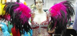 B011 Feather Showgirl Shoulder Pieces Wings