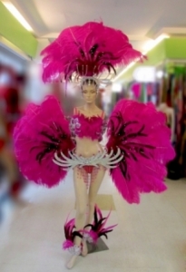 C075 Carnival Brazilian Rio Carnival Samba Dance Costume  Showgirl Brazil Feather Showgirl Headdress Costume Set