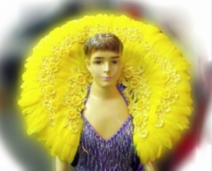 B013 Carnival Brazilian Rio Carnival Samba Dance Costume  Feather Showgirl Shoulder Pieces