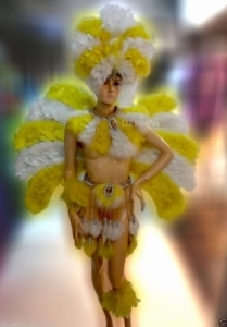C118 Eagle Heroine Girl Crystal Showgirl Headdress Costume Set