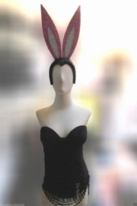 HC15012 Bunny Girl Princess Crystal  Costume Set