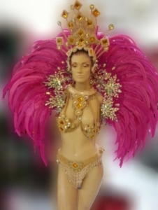 B0399 Pink Carnival Brazilian Rio Carnival Samba Dance Costume  Backpiece
