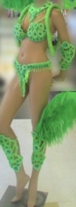 C072 Carnival Brazilian Rio Carnival Samba Dance Costume  Ostrich Feather Costume Set