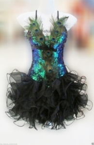 M145 Peacock Angel Feather Dance Showgirl Dress
