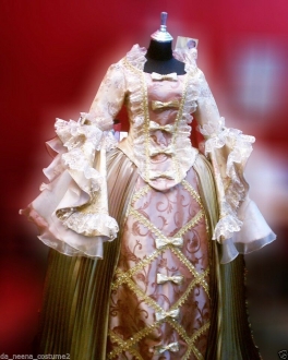 G040 Northern Europeans Lady Cabaret Renaissance Showgirl Dress Gown