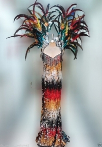 C093 Queen of Parrot Gay Pride Feather Showgirl Dress Gown Shoulder Pieces Costume set