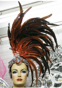 H0229 Wonder Bird Pageant Feather Headdress