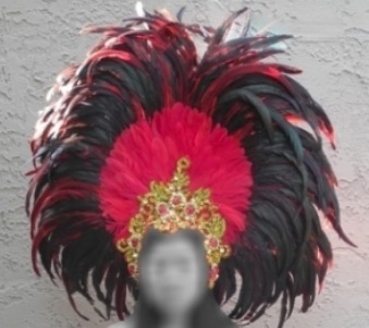 USF Samba Parade Carnival Rio Feather Headdress
