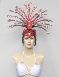 Al Lady Gaga Feather Showgirl Headdress