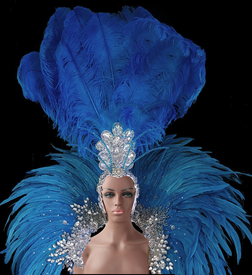 Details about   Da NeeNa C004 Feather Drag Dance Swan Backpiece Headdress 