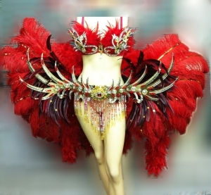 C047C Asian Bird Showgirl Vegas Ostrich Feather Costume Set