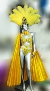 C048 Gold Costume Set