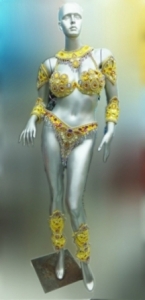T017  Carnival Brazilian Rio Carnival Samba Dance Costume  Warrior Princess Costume