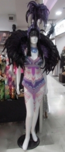 C066 Carnival Brazilian Rio Carnival Samba Dance Costume  Showgirl Headdress Backpiece Costume