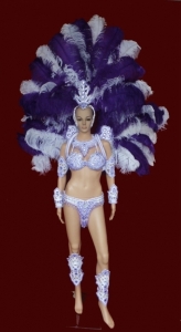 T017N Carnival Showgirl Bra Bikini Costume