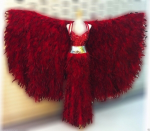 C070F Feather Red Bird Showgirl Coat Showgirl Gown Showgirl Coat