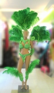 C072 Carnival Brazilian Rio Carnival Samba Dance Costume  Ostrich Feather Showgirl Headdress Costume Set