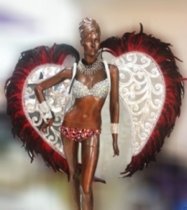 C085 Red Heart Carnival Brazilian Rio Carnival Samba Dance Costume  Parade Angel Wings Costume Set