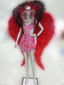 C084 Carnival Brazilian Rio Carnival Samba Dance Costume  Fairy Valentine Feather Angel Wings