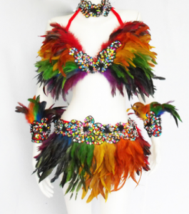 FTR Gay Pride Parade Showgirl Bra Skirt Costume Dress