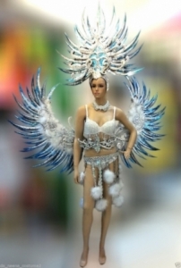 C610 Victoria Angel Bird Costume Set Feather Angel Wings