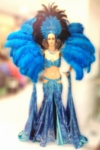 C662 Queen of Paradise Crystal Costume set
