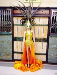 C104 Burlesque Warrior Lady Pheasant Feather Showgirl Dress Goddess Headdress Skirt