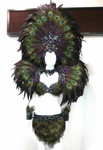 EVIAN Peacock Bra Skirt Showgirl Headdress Backpack Costume Set