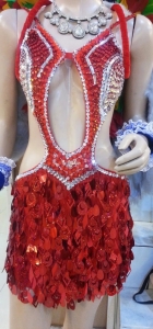 M810m Red Phoenix Angel Crystal Pageant Dress