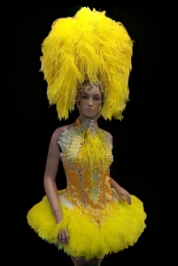 EVIY Showgirl Vegas Moulin Rouge Dress Headdress Halloween Costume Set