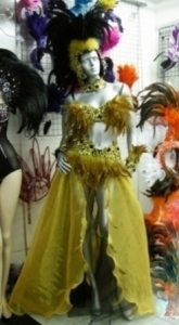 C021 Feather Costume Set