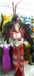C002 Carnival Brazilian Rio Carnival Samba Dance Costume  Showgirl Headdress Costume Set