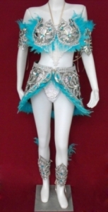 M004 Feather Showgirl Dress Showgirl Bra Belt Costume Set