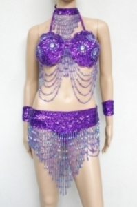 T008 Dance Show  Showgirl Bra Belt Costume Set